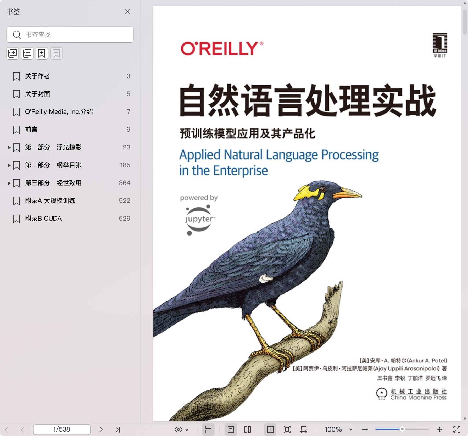 《自然语言处理实战:预训练模型应用及其产品化》pdf百度网盘