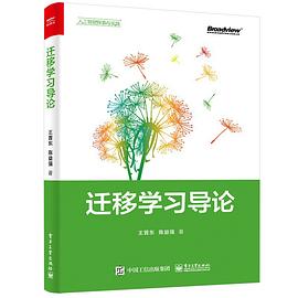《迁移学习导论》pdf电子书下载