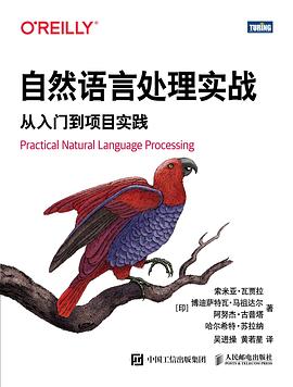 自然语言处理实战：从入门到项目实践 pdf电子书