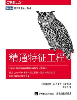 《精通特征工程》pdf电子书下载