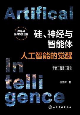 《硅、神经与智能体:人工智能的觉醒》pdf电子书下载