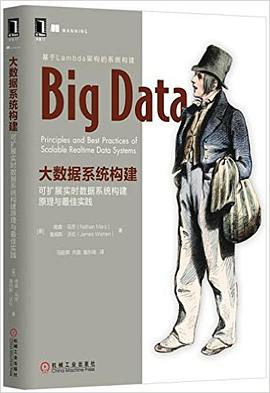 大数据系统构建：可扩展实时数据系统构建原理与最佳实践 pdf电子书