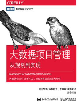 大数据项目管理：从规划到实现 pdf电子书