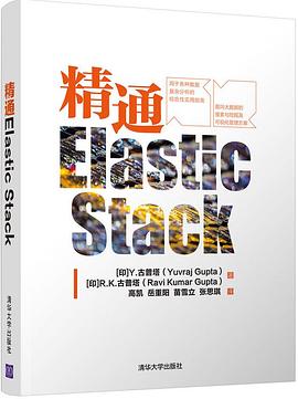 精通Elastic Stack pdf电子书