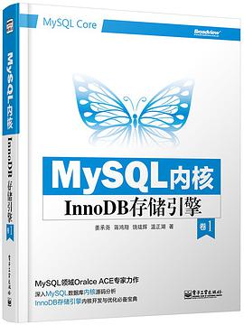 MYSQL内核：INNODB存储引擎 卷1 pdf电子书