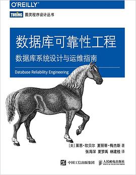 数据库可靠性工程 数据库系统设计与运维指南 pdf电子书