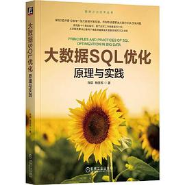 《大数据SQL优化:原理与实践》pdf电子书下载