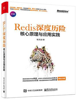 Redis 深度历险：核心原理与应用实践 pdf电子书