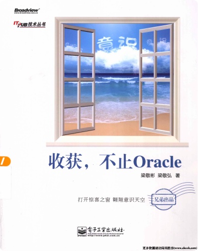 收获,不止Oraclepdf电子书