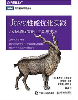 Java性能优化实践：JVM调优策略、工具与技巧 pdf电子书