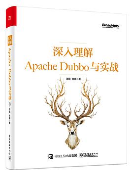 深入理解Apache Dubbo与实战 pdf电子书