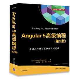 Angular 5 高级编程 第2版pdf电子书