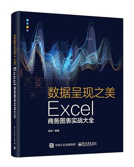 《数据呈现之美:Excel商务图表实战大全》pdf电子书下载
