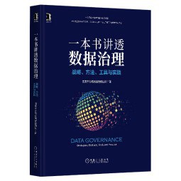 《一本书讲透数据治理:战略、方法、工具与实践》pdf电子书下载