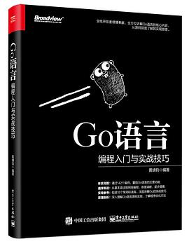 Go语言编程入门与实战技巧pdf电子书