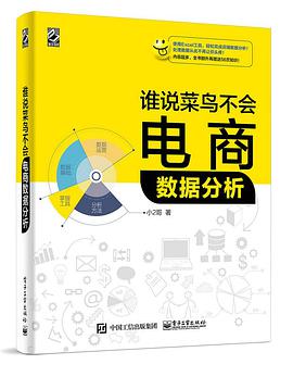 《谁说菜鸟不会电商数据分析》pdf电子书下载