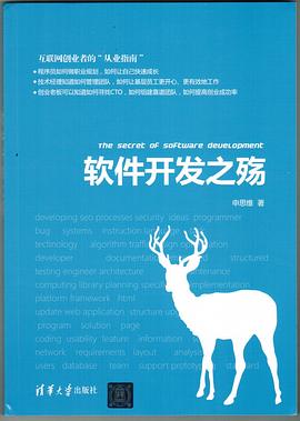 《软件开发之殇》pdf电子书下载