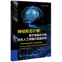 《神经形态计算:用于类脑芯片的仿生人工突触忆阻器研究》pdf电子书下载