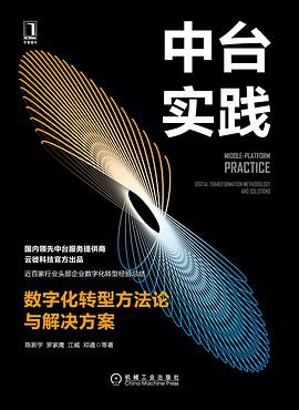 中台实践：数字化转型方法论与解决方案 pdf电子书