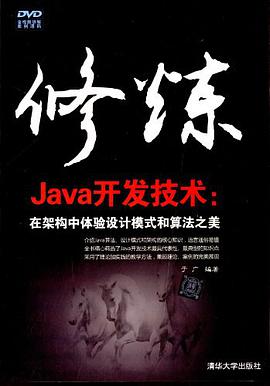 修炼Java开发技术：在架构中体验设计模式和算法之美pdf电子书