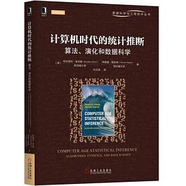 计算机时代的统计推断：算法、演化和数据科学 pdf电子书