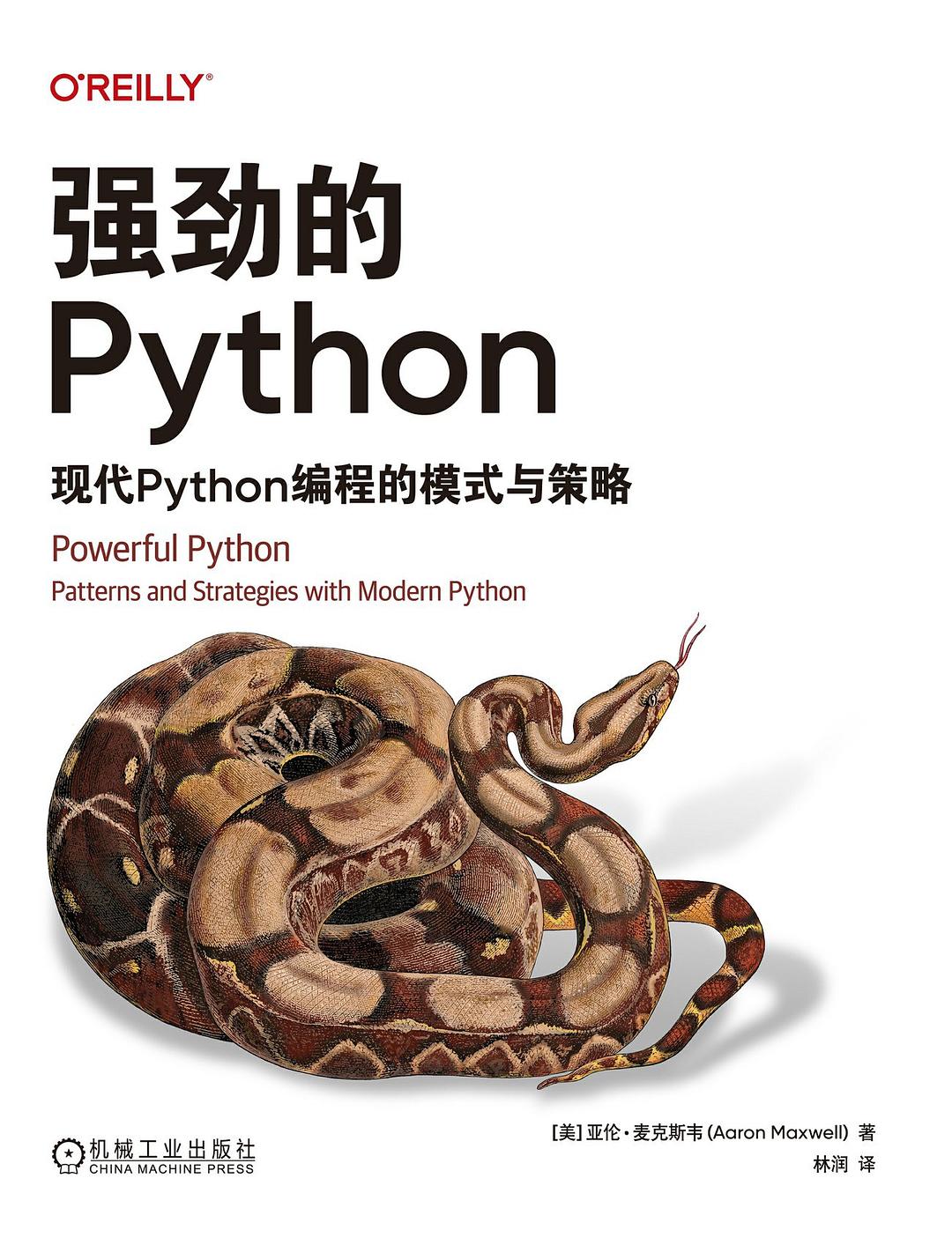 《强劲的Python:现代Python编程的模式与策略》pdf电子书下载