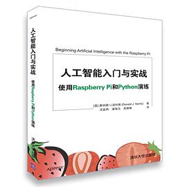 人工智能入门与实战：使用Raspberry Pi和Python演练 pdf电子书