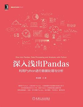 深入浅出Pandas：利用Python进行数据处理与分析 pdf电子书