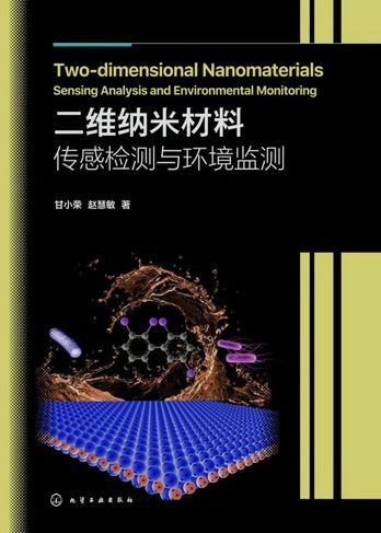 二维纳米材料：传感检测与环境监测 pdf电子书[105MB]